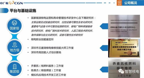 喜訊 公司成功通過國家高新技術企業認定，技術服務獲權威認可